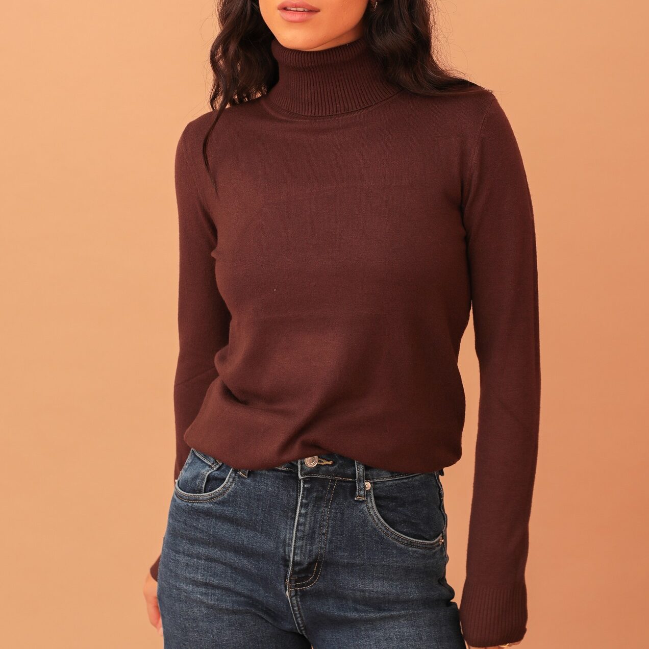 VIVIAN TURTLENECK KNIT - BROWN