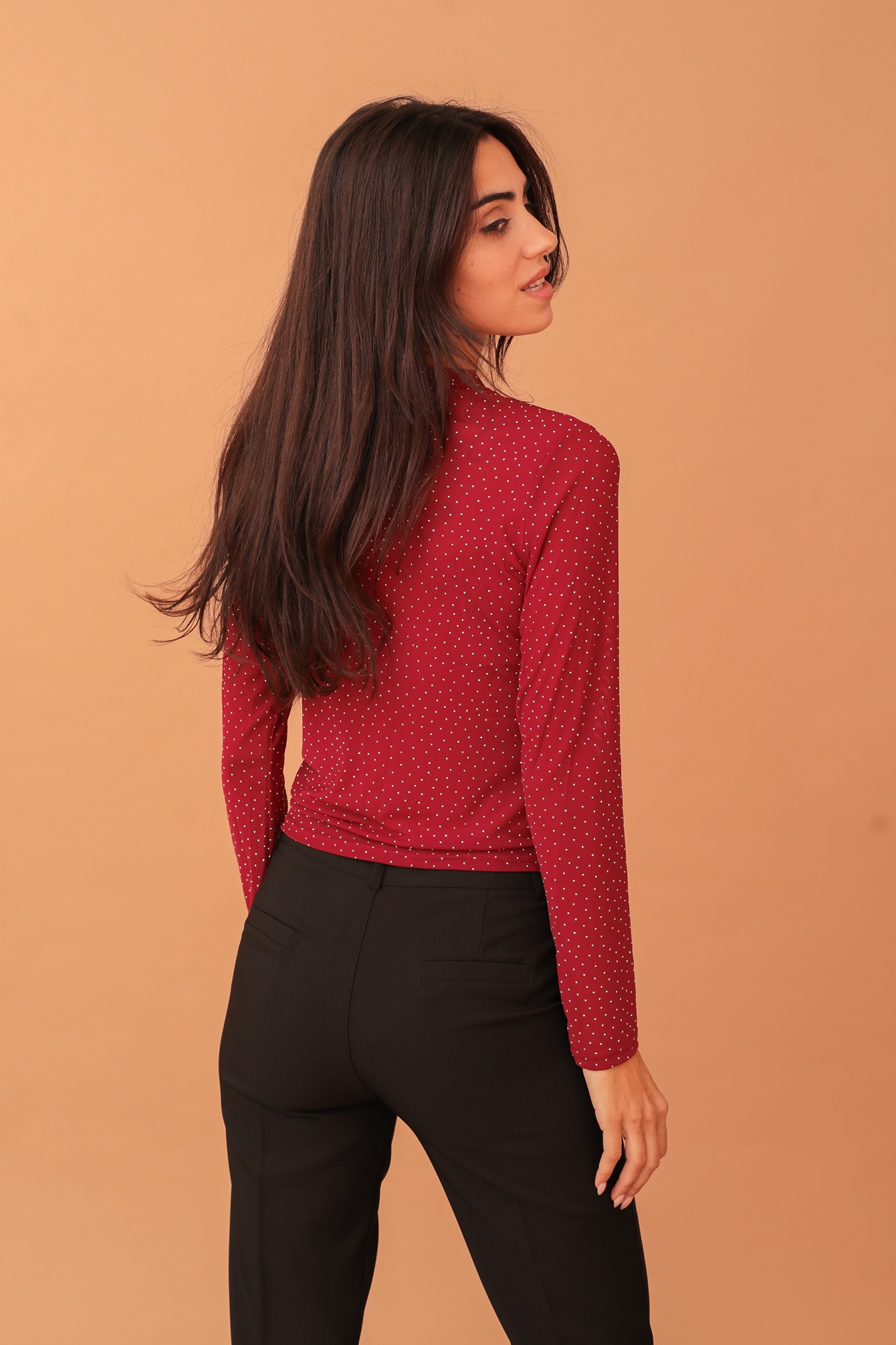 ALICE EMBELLISHED MESH TOP - BORDEAUX - Image 2